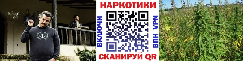 Купить закладку Калининец Галлюциногенные грибы  Мефедрон  ГАШИШ  A PVP  Каннабис  Кокаин 