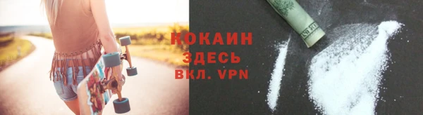 дживик Баксан