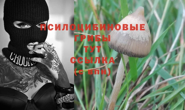 марихуана Белокуриха