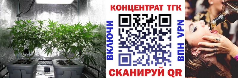 ТГК THC oil OMG ссылки Калининец
